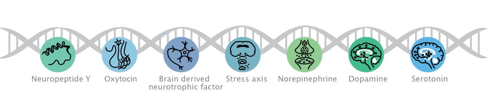 DNA Resilience